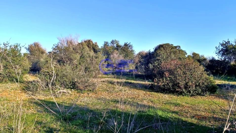 Terreno para Venda em Guia