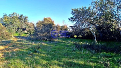 Terreno para Venda em Guia