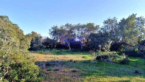 Terreno para Venda em Guia