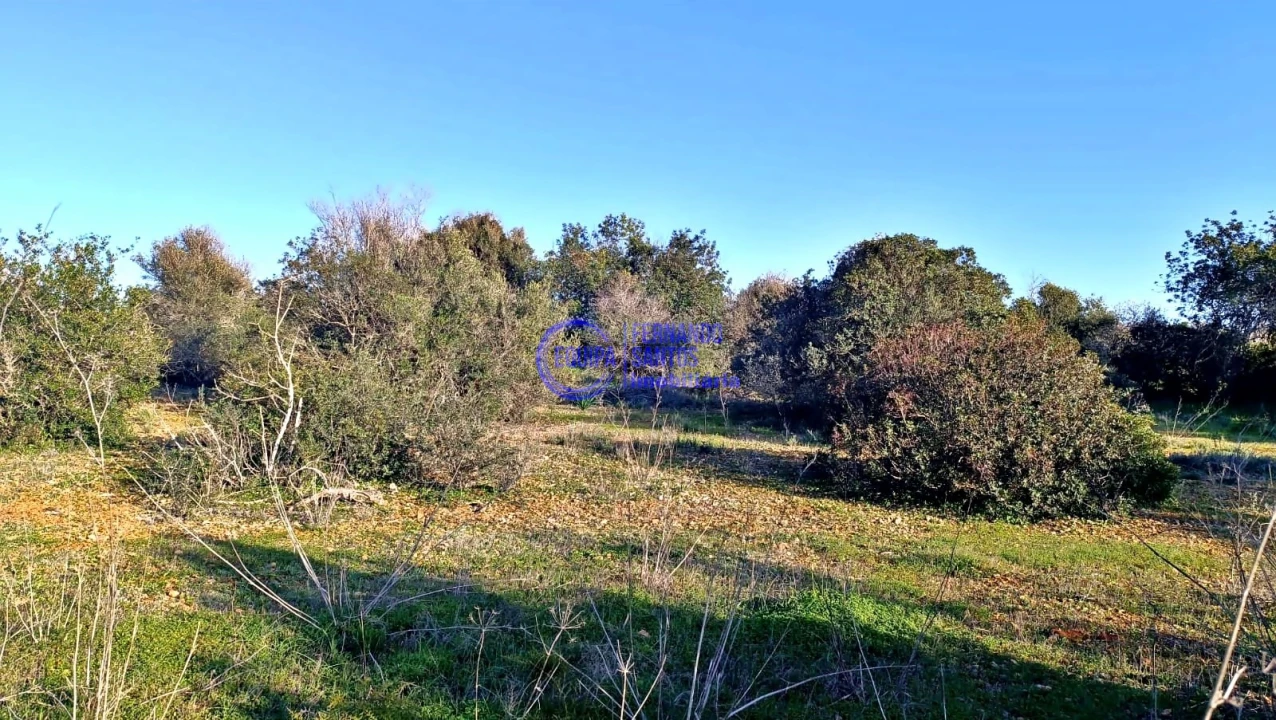 Terreno para Venda em Guia Foto 6