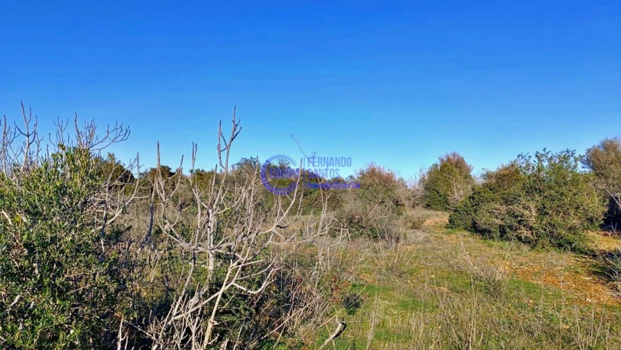 Terreno para Venda em Guia Foto 7
