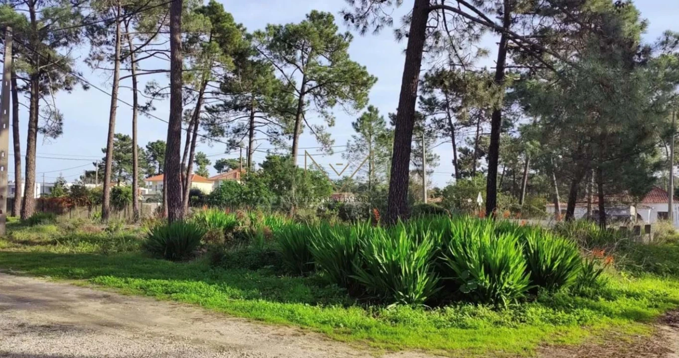 Terreno para Venda em Charneca de Caparica e Sobreda Foto 1