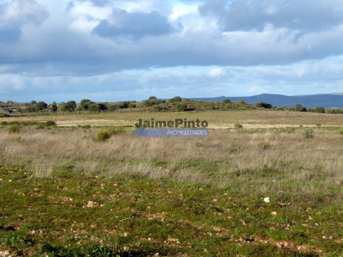 Terreno Agricola ou Rústico para Venda em Figueira de Castelo Rodrigo Foto 4