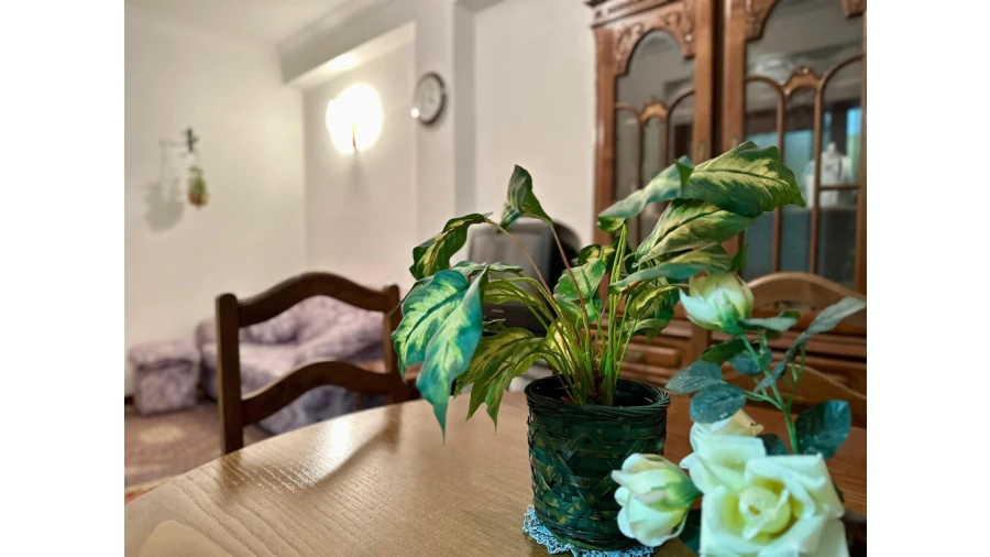 Apartamento T1 para Venda em Buarcos Foto 4