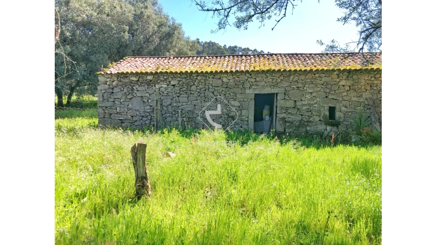 Moradia T1 para Venda em Vilela, São Cosme e São Damião e Sá Foto 13