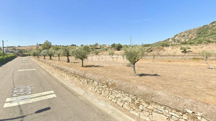 Terreno para Venda em Idanha-A-Nova e Alcafozes Foto 2