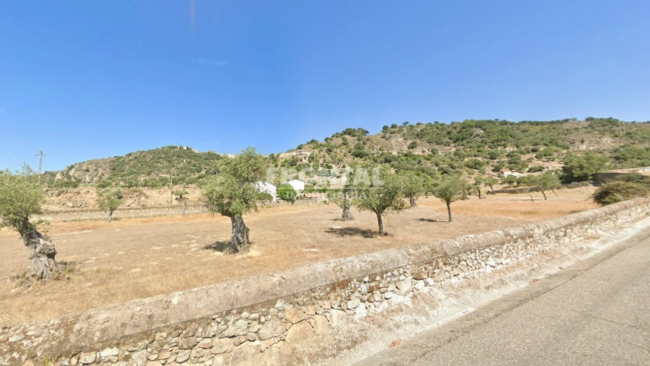 Terreno para Venda em Idanha-A-Nova e Alcafozes Foto 3