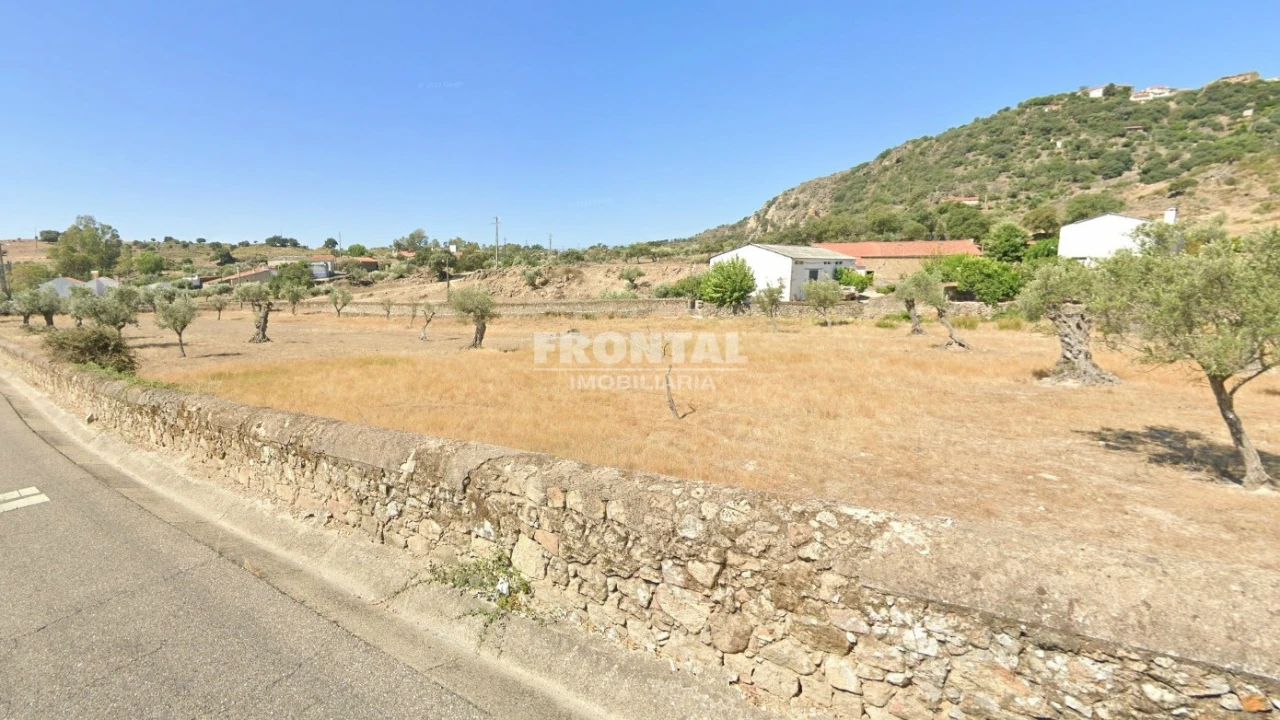 Terreno para Venda em Idanha-A-Nova e Alcafozes Foto 1