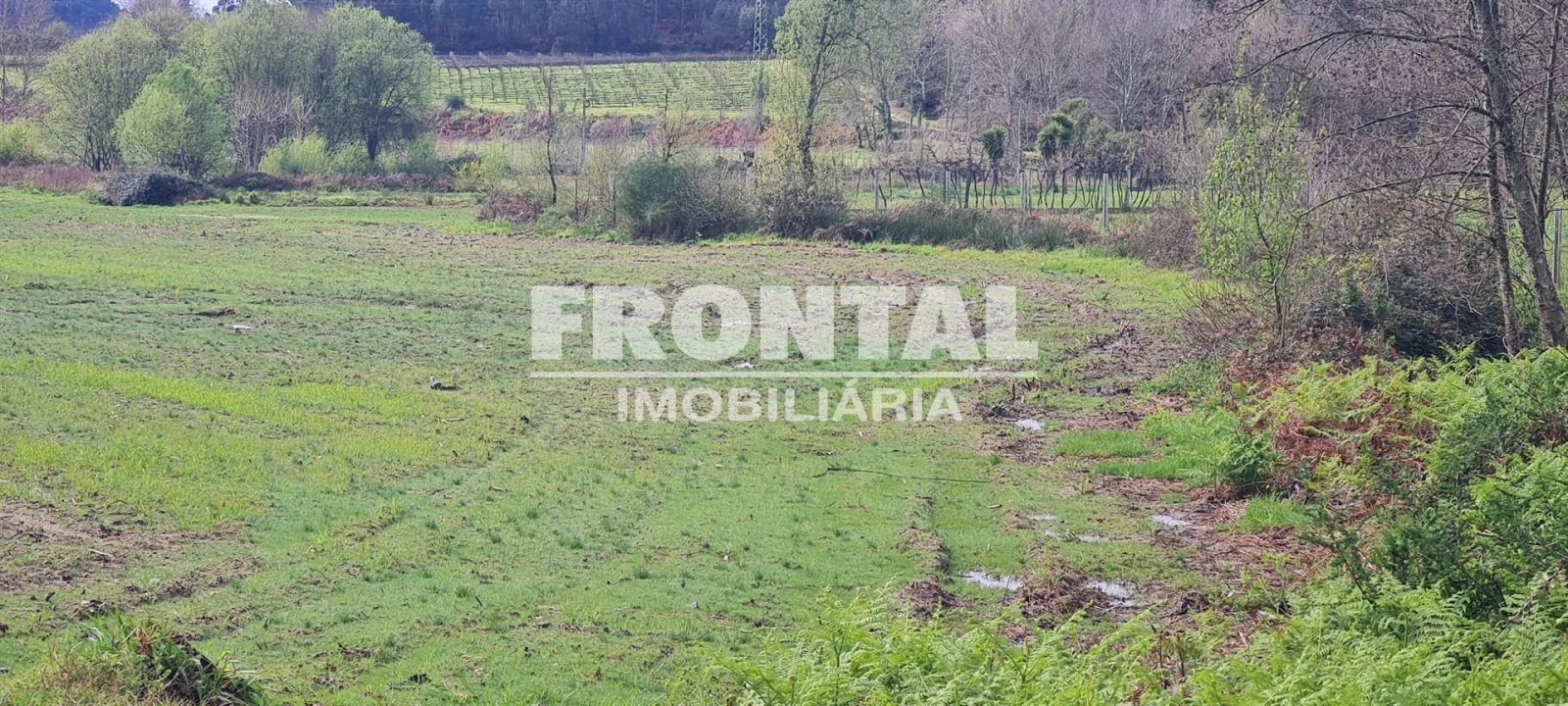 Terreno Agricola ou Rústico para Venda em Caide de Rei Foto 11
