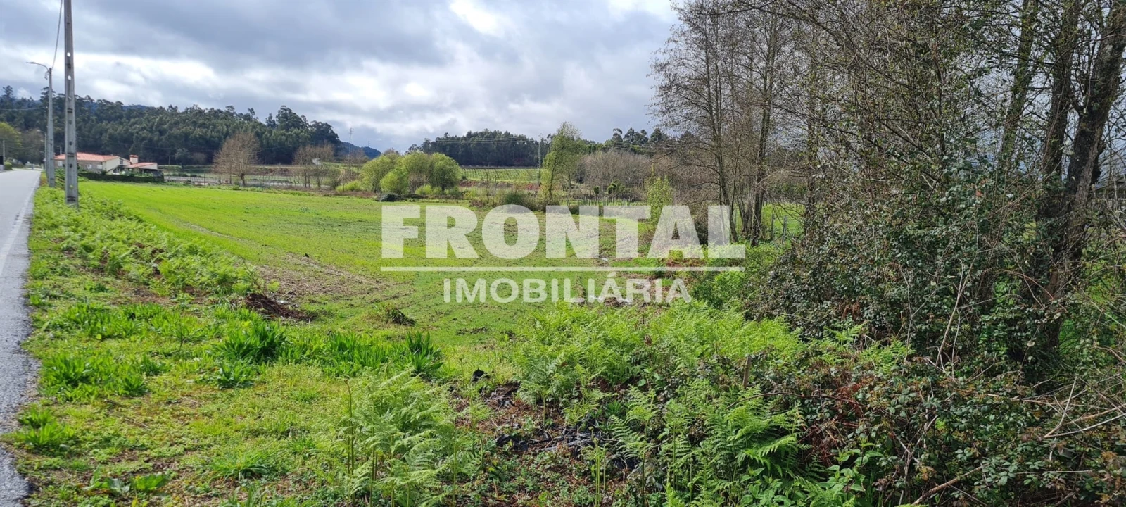 Terreno Agricola ou Rústico para Venda em Caide de Rei Foto 13
