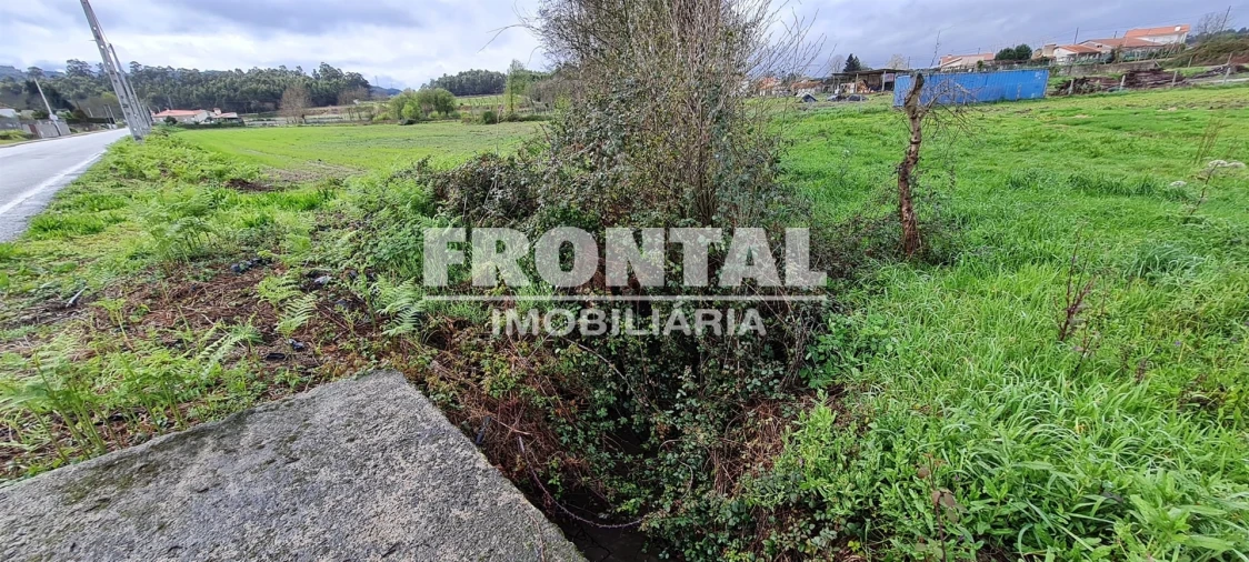 Terreno Agricola ou Rústico para Venda em Caide de Rei Foto 10