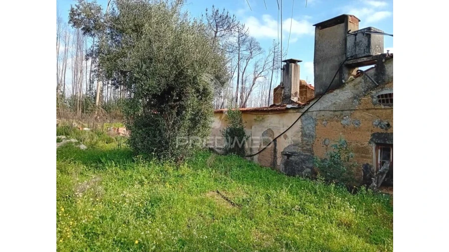 Moradia T4 para Venda em Freixianda, Ribeira do Fárrio e Formigais Foto 3