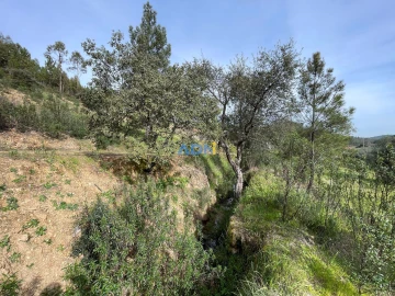 Terreno para Venda em Sarzedas