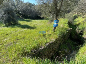 Terreno para Venda em Sarzedas