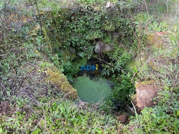 Terreno para Venda em Sarzedas