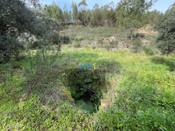 Terreno para Venda em Sarzedas