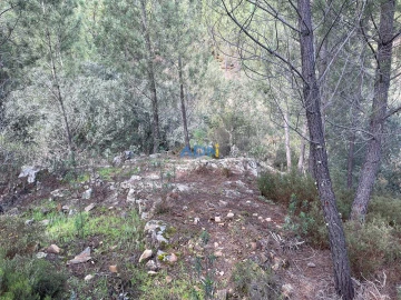 Terreno para Venda em Sarzedas