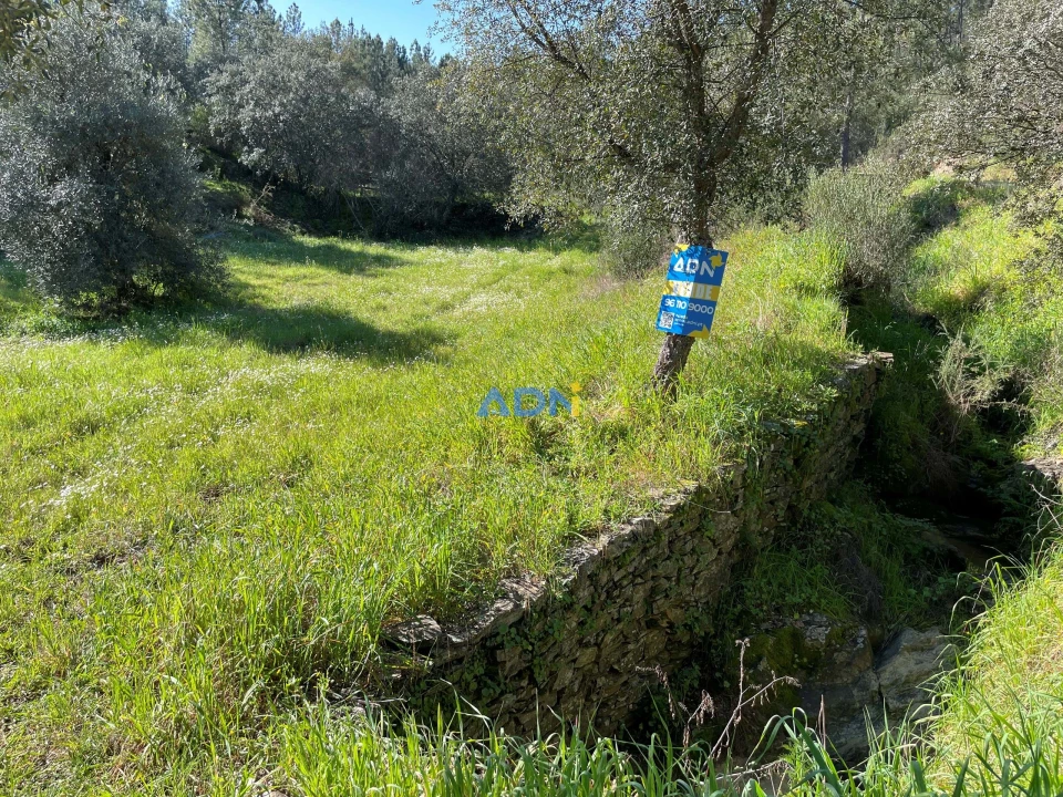 Terreno para Venda em Sarzedas Foto 1