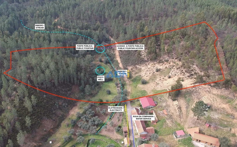 Terreno para Venda em Sarzedas Foto 3