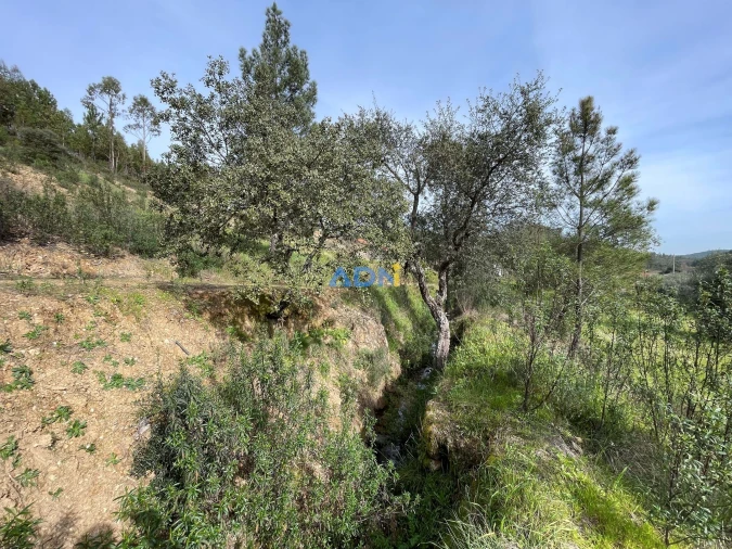Terreno para Venda em Sarzedas Foto 15