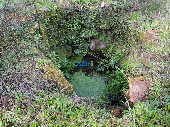 Terreno para Venda em Sarzedas Foto 9