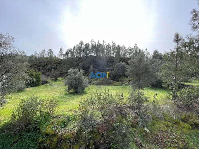 Terreno para Venda em Sarzedas Foto 5