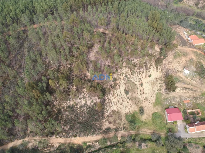 Terreno para Venda em Sarzedas Foto 16