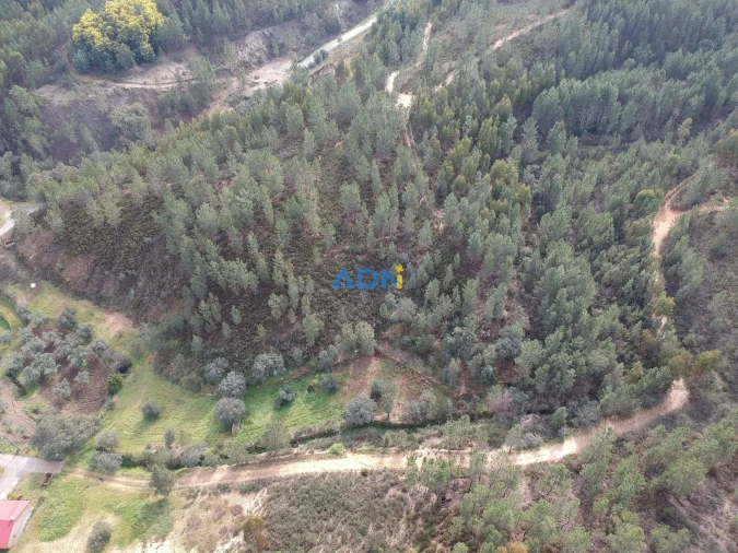 Terreno para Venda em Sarzedas Foto 14