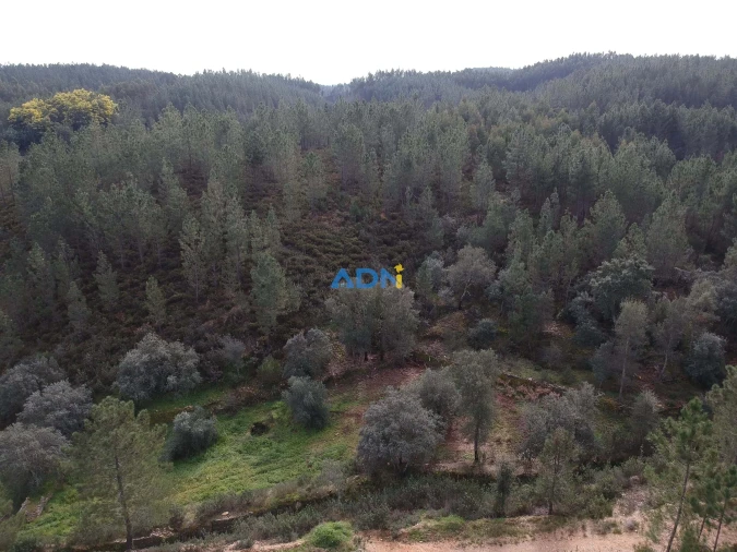 Terreno para Venda em Sarzedas Foto 13