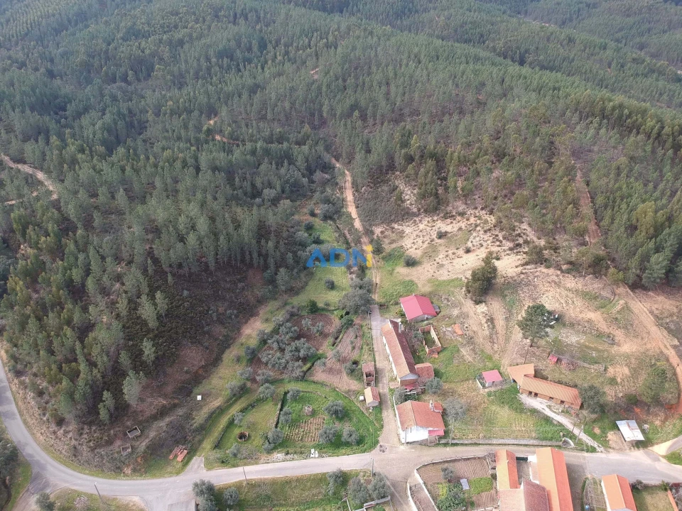 Terreno para Venda em Sarzedas Foto 2