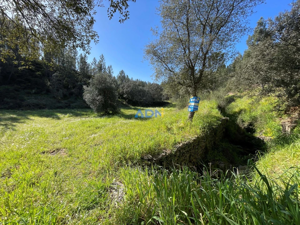 Terreno para Venda em Sarzedas Foto 4
