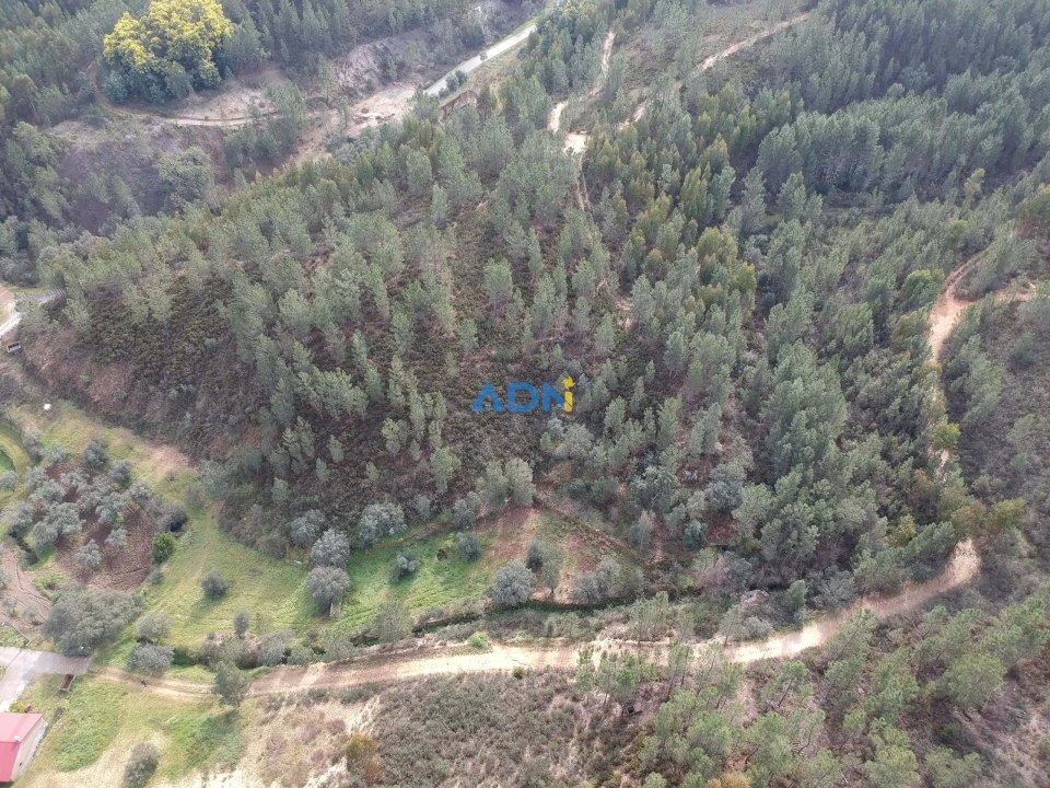 Terreno para Venda em Sarzedas Foto 14