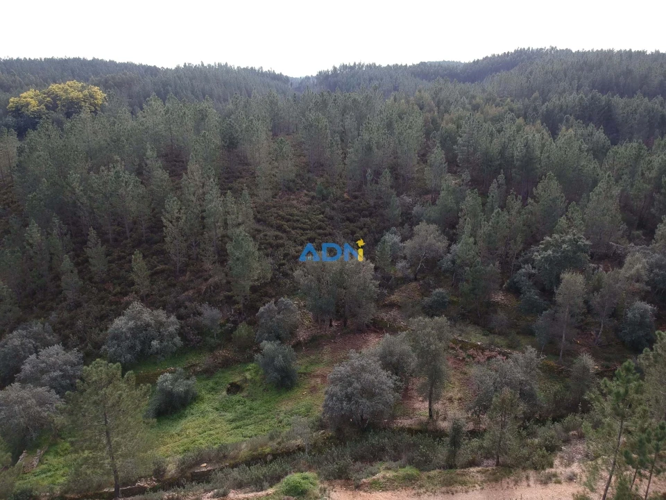 Terreno para Venda em Sarzedas Foto 13