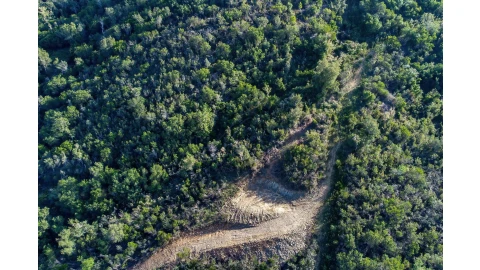Terreno para Venda em Aljezur