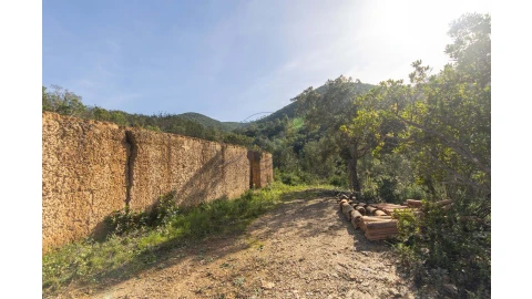Terreno para Venda em Aljezur