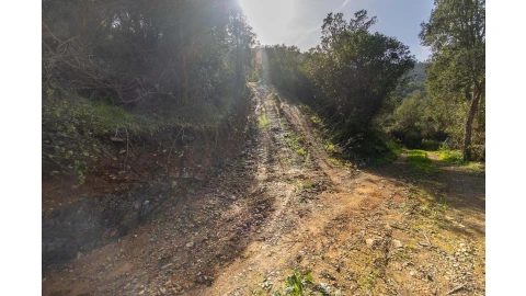 Terreno para Venda em Aljezur