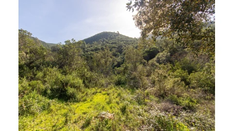 Terreno para Venda em Aljezur