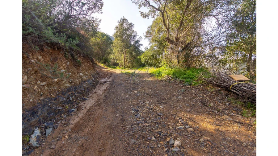 Terreno para Venda em Aljezur Foto 14