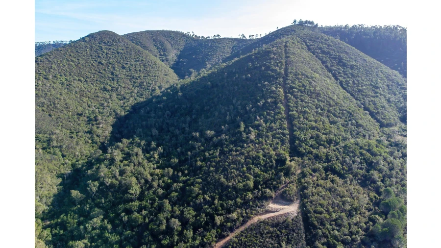 Terreno para Venda em Aljezur Foto 28