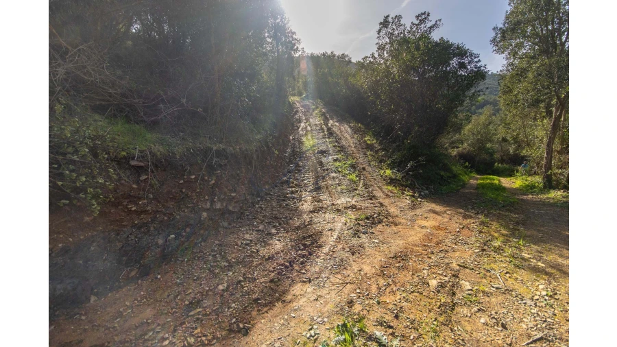 Terreno para Venda em Aljezur Foto 15