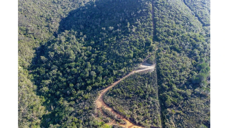 Terreno para Venda em Aljezur Foto 27