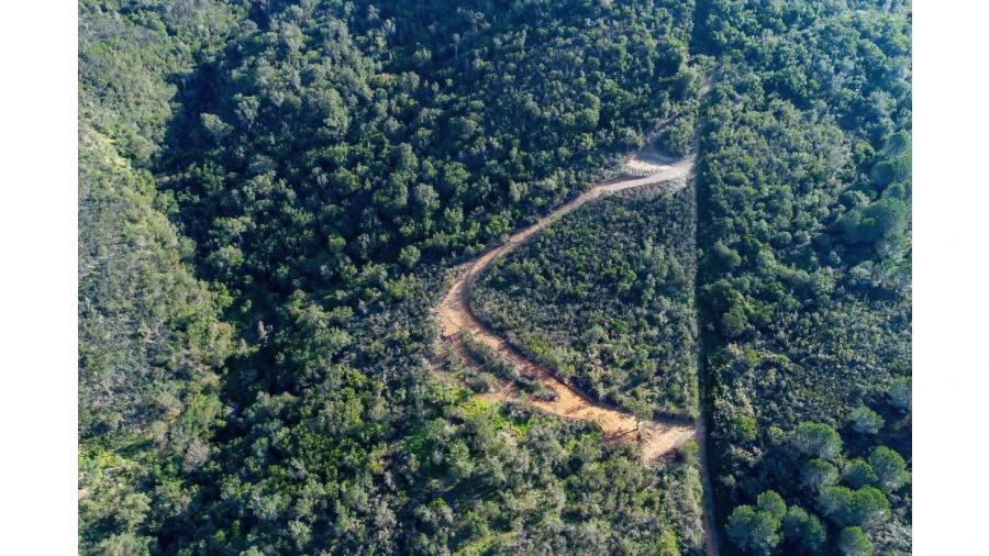 Terreno para Venda em Aljezur Foto 29