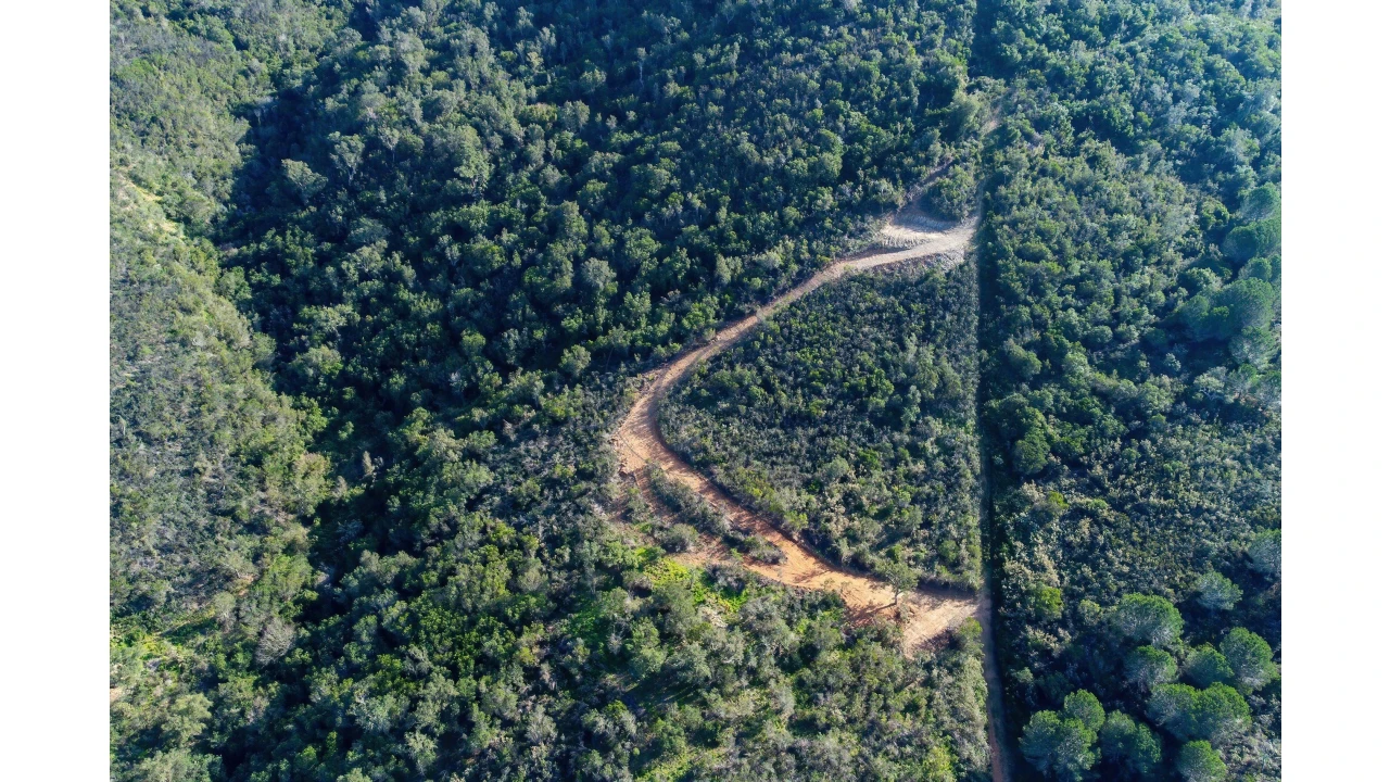 Terreno para Venda em Aljezur Foto 29