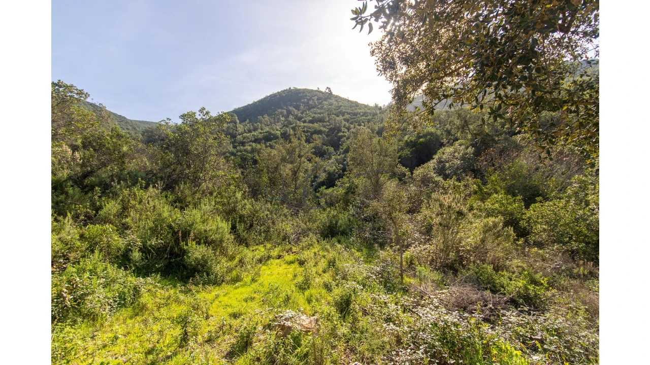 Terreno para Venda em Aljezur Foto 4