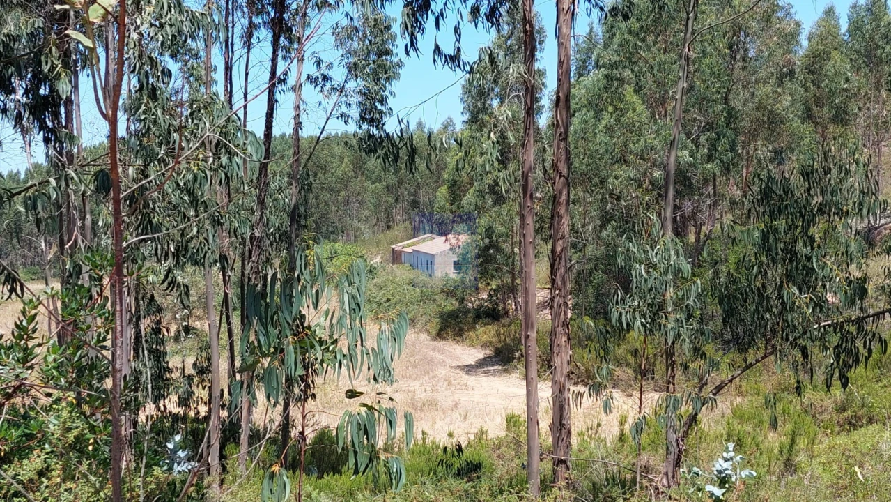 Quinta T6 para Venda em Aljezur Foto 11