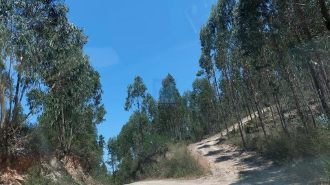 Quinta T6 para Venda em Aljezur