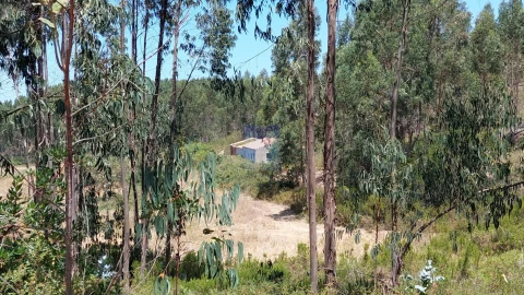 Quinta T6 para Venda em Aljezur