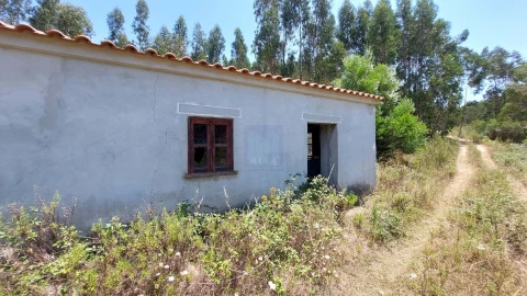 Quinta T6 para Venda em Aljezur