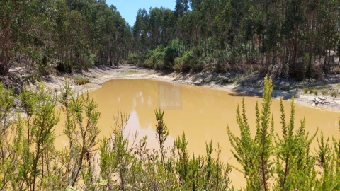 Quinta T6 para Venda em Aljezur