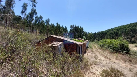 Quinta T6 para Venda em Aljezur